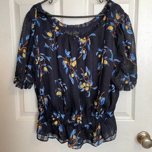 (lot of 2) Ann Taylor Blouses